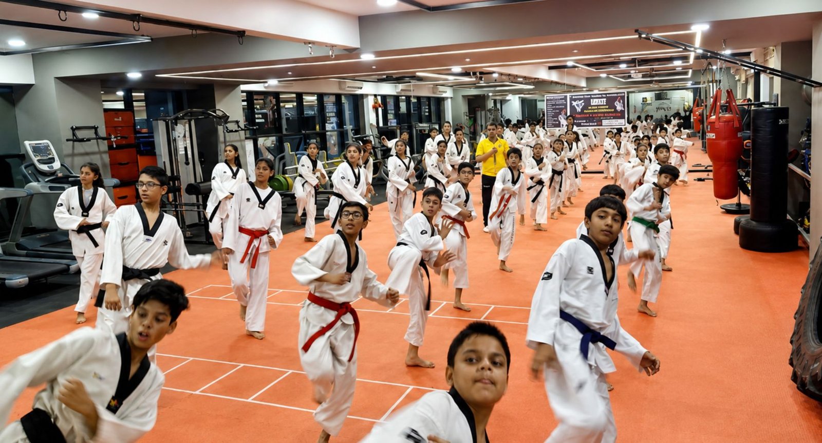 Martial artist performing a kick in the dojo