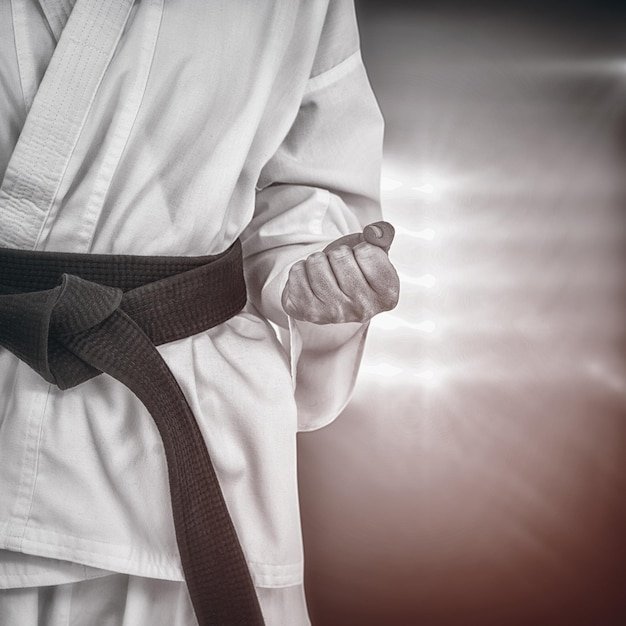 Pamir's Dynamic Warrior Martial Arts Academy - Main Banner Image